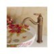 Bathroom Faucet Single Handle Centerset Basin Tap in Antique Brass