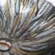 Tempered Glass Vessel Sink in the Shape of a Seashell (Faucet Not Included)