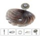 Shell Shape Basin Bathroom Countertop Waterfall Vessel Sink Tap Glass Sink and Faucet Set