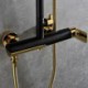 Contemporary Exposed Shower System Rain Head and Hand Sprayer with Slider Rail in Black