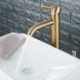 Bathroom Mixer Tap Single Faucet in Brushed Gold Stainless Steel (Tall)