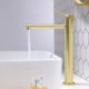 Simple Style Bathroom Basin Tap with Brushed Gold Vessel Sink Faucet