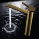 Bathroom Sink Faucet Basin Tap Mixer in Brushed Gold Brass with 360 Rotatable Spout