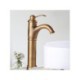 Bathroom Vessel Sink Faucet in Antique Brass (Tall)