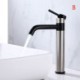 Stainless Steel Sink Faucet with Rotation (Tall)