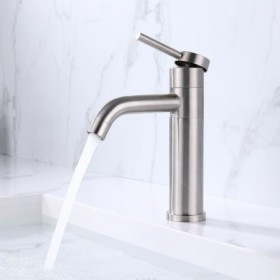 Stainless Steel Sink Faucet with Rotation (Short)