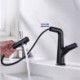 Single Handle Lifting Basin Tap Bathroom Sink Faucet with Pull Out Sprayer