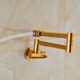Wall Mount Foldable Kitchen Tap with Luxurious Gold Pot Filler
