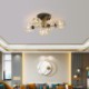 Crystal LED Ceiling Light For Living Room Bedroom Copper Ceiling Lamp