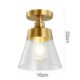 1-Light Brass Contemporary Glass Flush Ceiling Light For Hallway