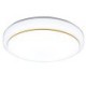 Living Room Balcony Round LED Flush Mount Simple Acrylic Ceiling Light