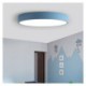 Living Room Bedroom Dining Room Light Contemporary LED Flush Mount Ultra Thin Ceiling Light Round Lamp