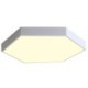 Living Room Bedroom Dining Room Light Contemporary Simple LED Flush Mount Hexagon Ceiling Light