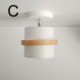 Aisle Ceiling Light with Round Macaron Spotlight (Single Light)