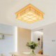 Hotel Living Room Bedroom Study Lighting LED Ceiling Light Wooden Ceiling Light