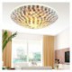 Ceiling Light with Shell Block