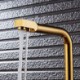 Gold Sink Tap with Water Filtering Luxury Swiveling Kitchen Faucet