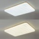 Rectangular Corrugated Ceiling Lamp with LED Acrylic