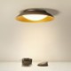 Surface Mount LED Ceiling Light Minimalist Bedroom Living Room Lighting Fixture