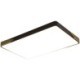 Rectangular LED Ceiling Light Modern Flush Mount Ceiling Light