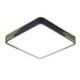 Square LED Ceiling Light Modern Flush Mount Ceiling Light