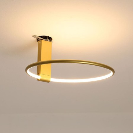 Modern Ring Circle Flush Mount Ceiling Lamp with LEDs